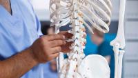 A clinician pointing to a spine model while explaining spinal anatomy.