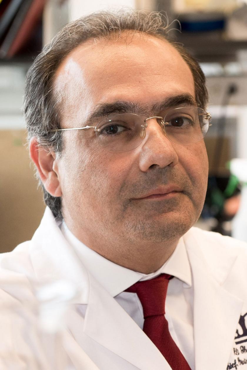 Ali Gharavi, MD Profile Headshot