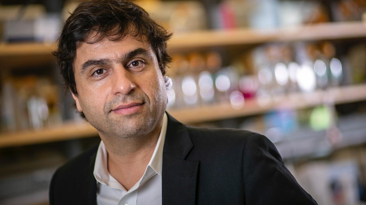 Molecular Movement: Columbia Biophysicist Reshapes Disease Treatment ...