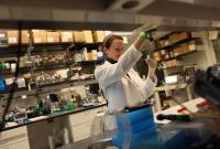 A researcher working in a lab