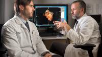 Two expert cardiologists evaluate a patient with heart damage from cancer treatment