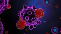 t cells attacking cancer