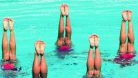 synchronized swimmers