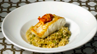 pan-seared halibut with barley artichoke risotto