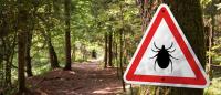 Sign on forest trail showing that hikers should watch for ticks.