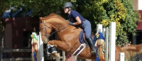 enid katz in an equestrian jumping event