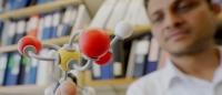 researcher holds a model of the taurine molecule