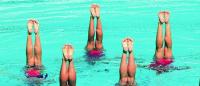 synchronized swimmers