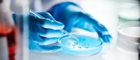 A person's hands wearing blue gloves holding a pipette and a small petri dish with a blue substance on it. The person is working in a laboratory setting with other laboratory equipment visible in the background.