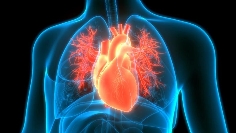 Cardiology Heart Surgery NYC ColumbiaDoctors New York